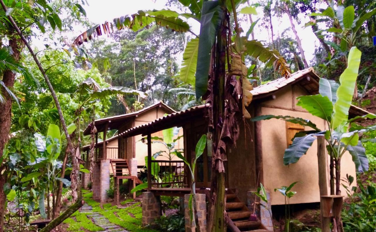 Eco Chalés Caminho das Águas Barra Grande (Rio de Janeiro) Exterior foto