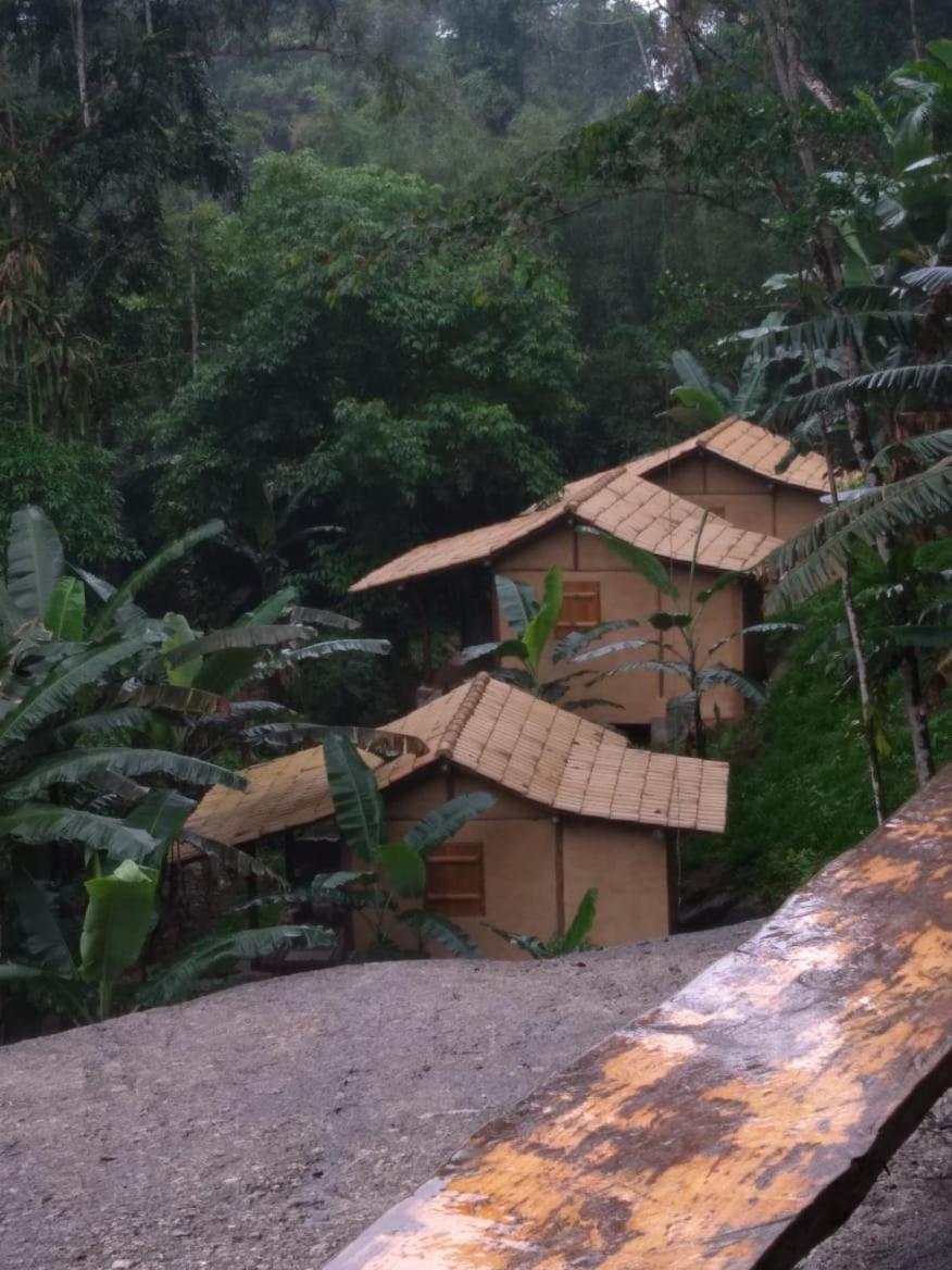 Eco Chalés Caminho das Águas Barra Grande (Rio de Janeiro) Exterior foto