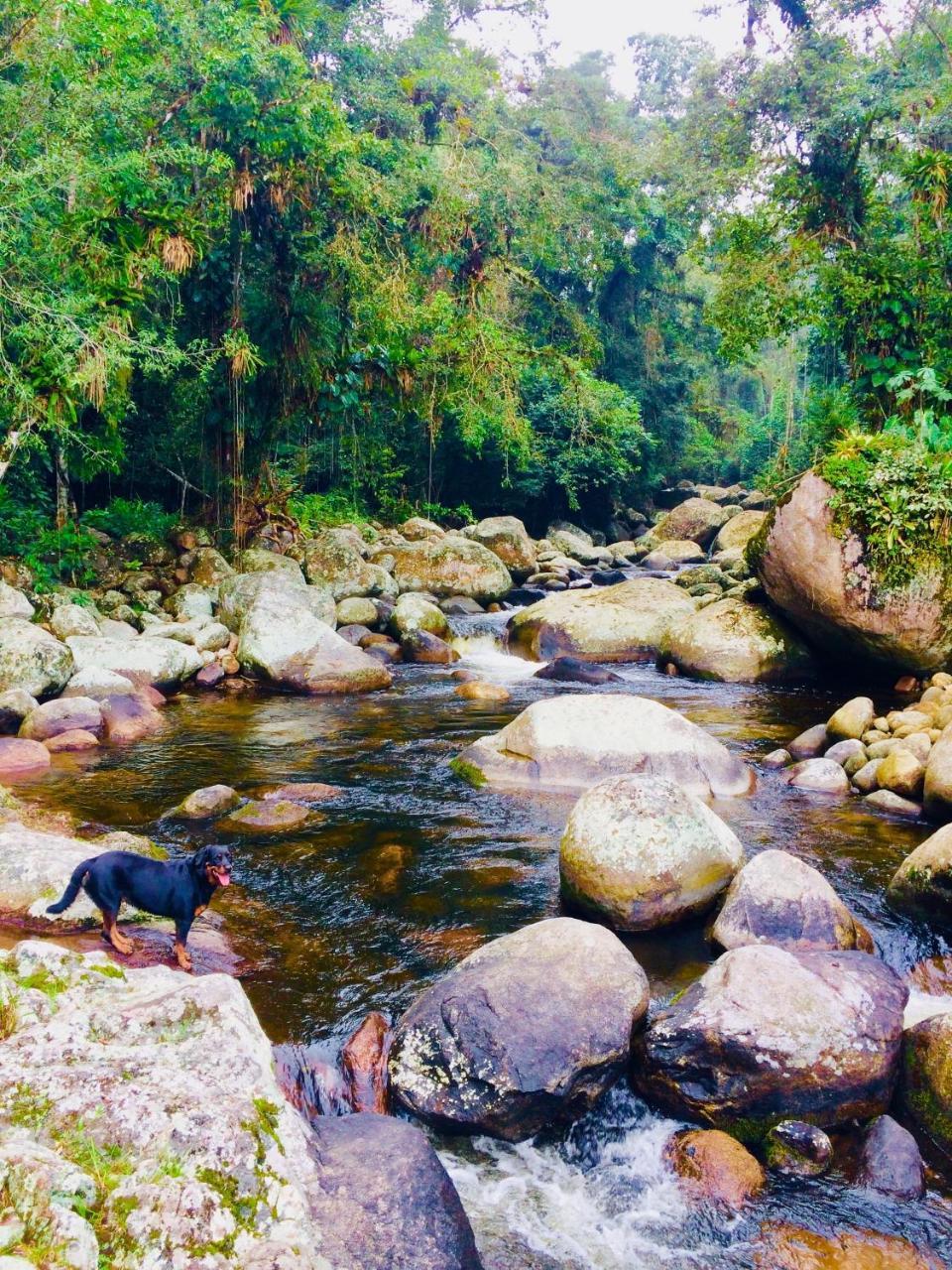 Eco Chalés Caminho das Águas Barra Grande (Rio de Janeiro) Exterior foto